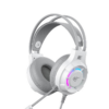 CASQUE GAMING HAVIT H2049D RGB PC/PS5/PS4/XBOX (WHITE)